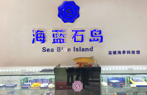 公司简介 公司简介